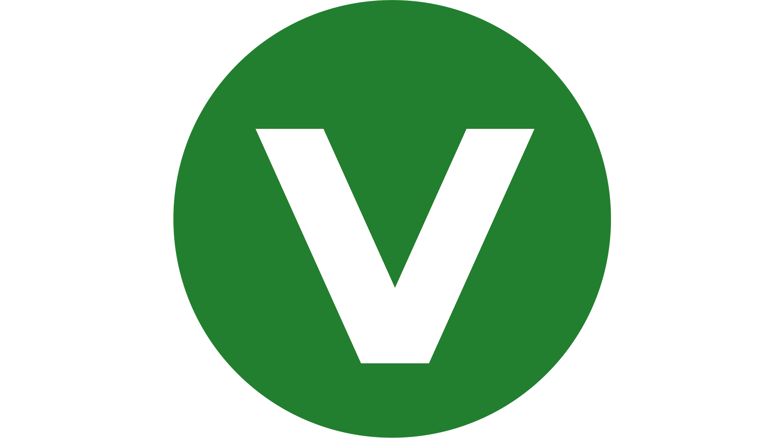 Vago Toys
